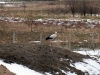 2011-01-12_dachstuhl-007