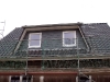2011-02-15_gaube-001